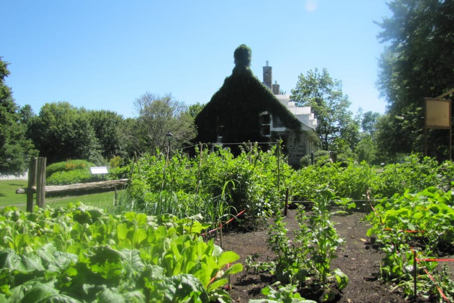 Potager Vieux presbytère